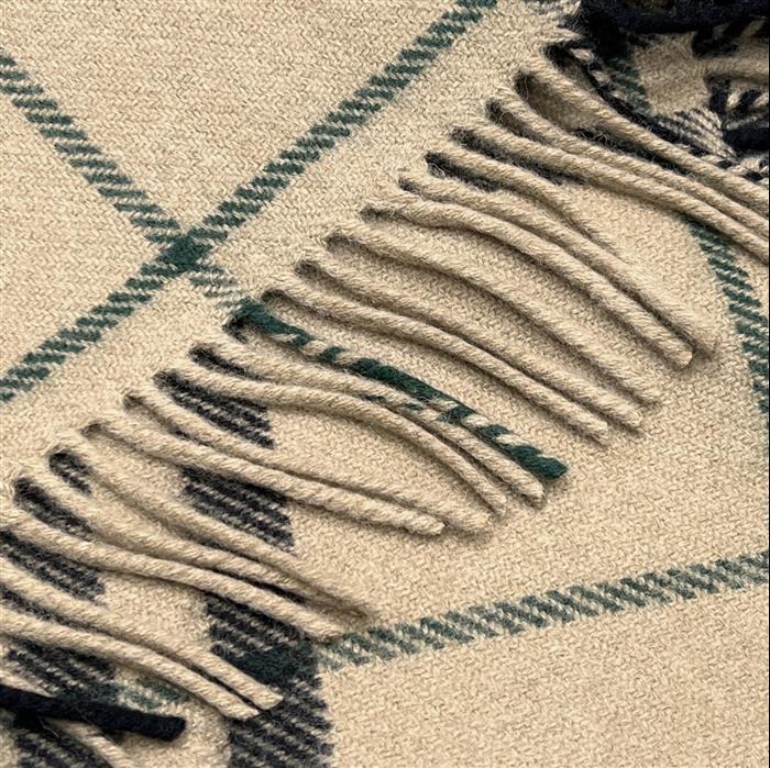 2026117185059906 180